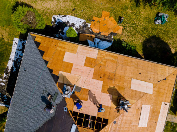 Quick and Trustworthy Emergency Roof Repair Services in Trappe, MD